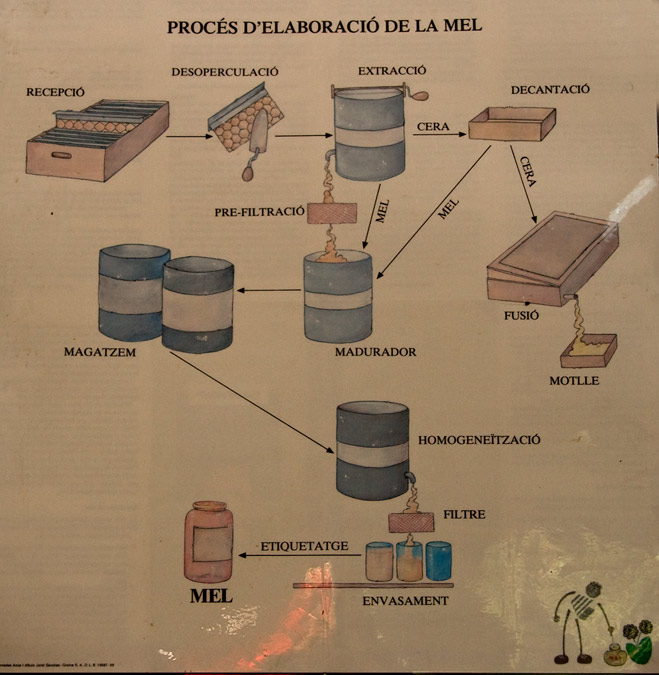 Procés d'elaboració de la mel  2de6