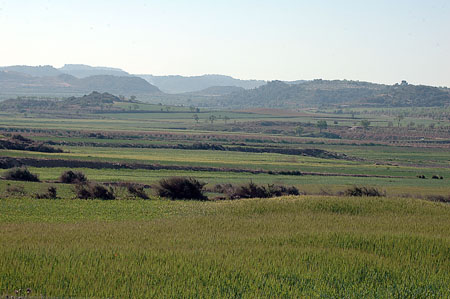 Paisatge dels secans de Belianes (1)