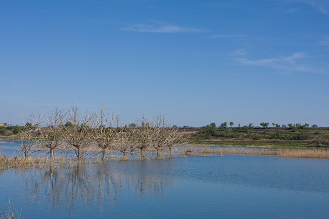 Estampa de l'Estany d'Ivars