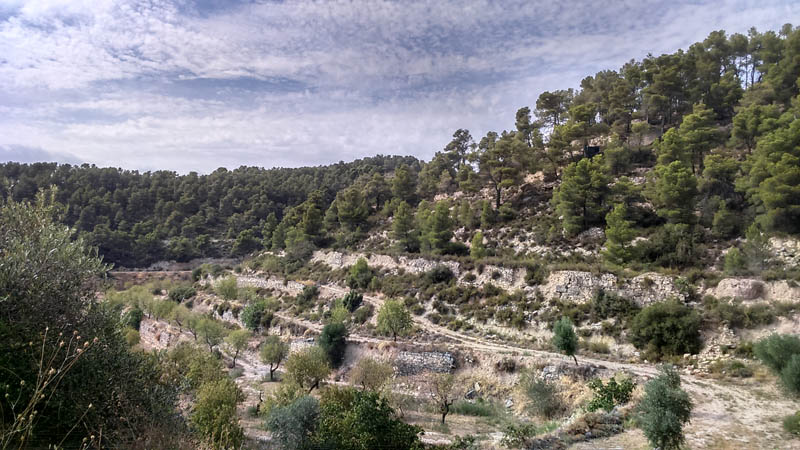 Entorn de l'Observatori de fauna de Ca l'Antonet