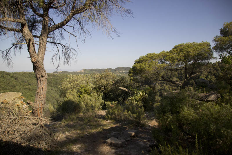 Vista des de l'interior de l'Aguait de l'Astor