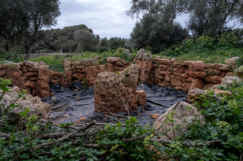 Poblat talaiòtic de sa Cudia Cremada