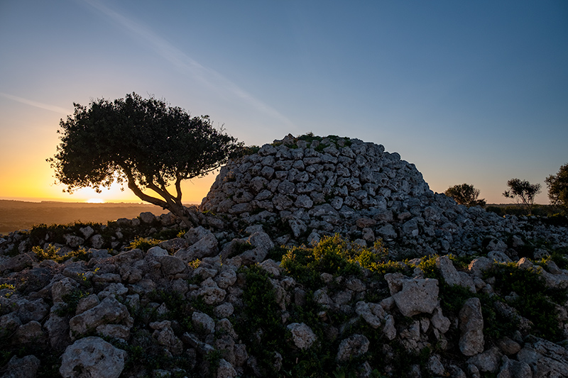 Poblat talaiòtic de Torre d'en Galmés