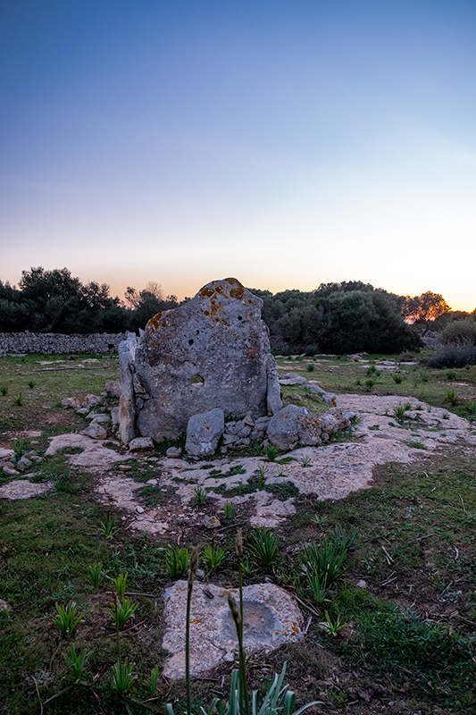 Dolmen de ses Roques Llises