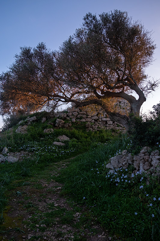 Poblat talaiòtic de Talatí de Dalt