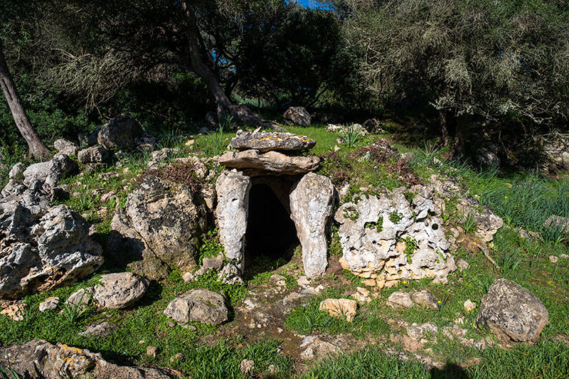 Hipogeus de Biniai Nou. Monument 1