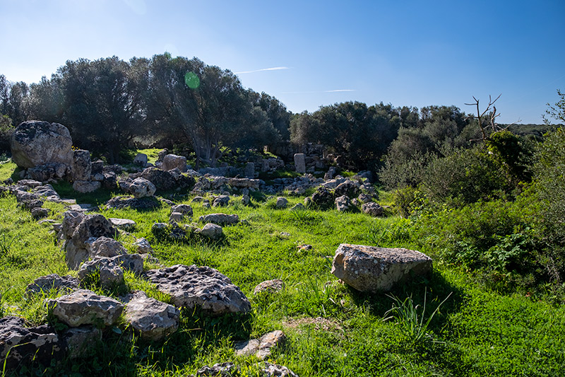 Poblat de Sant Vicenç d'Alcaidús