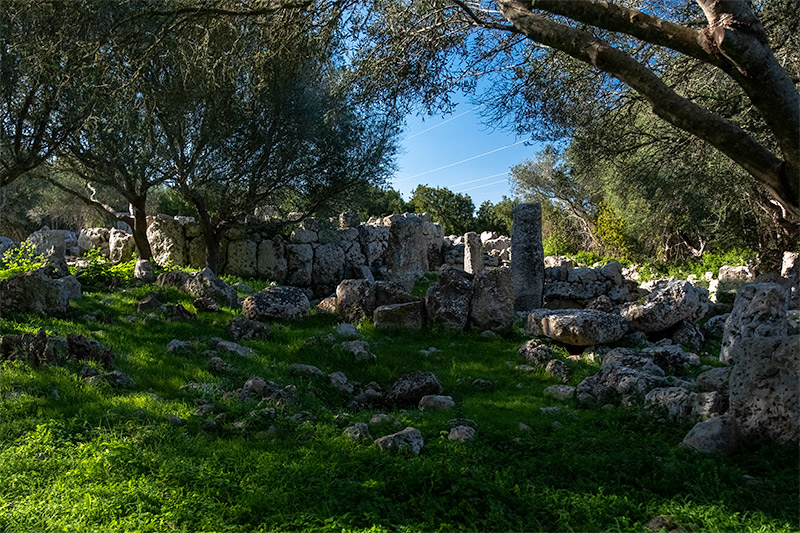 Poblat de Sant Vicenç d'Alcaidús