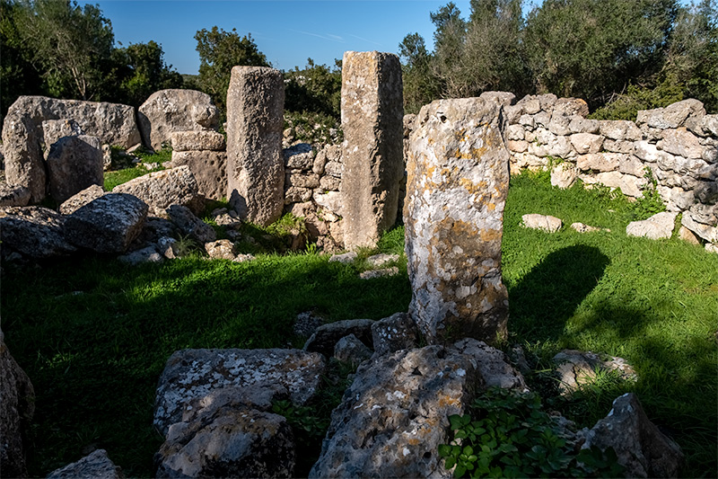 Poblat de Sant Vicenç d'Alcaidús