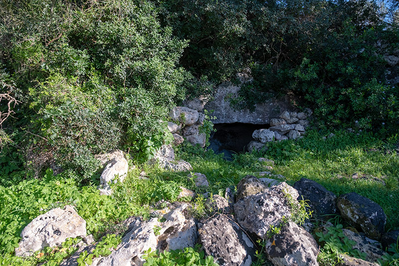 Poblat de Sant Vicenç d'Alcaidús