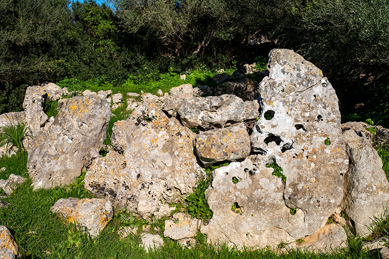 Poblat de Sant Vicenç d'Alcaidús