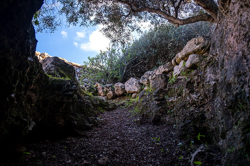 Poblat talaiòtic de Montefí.