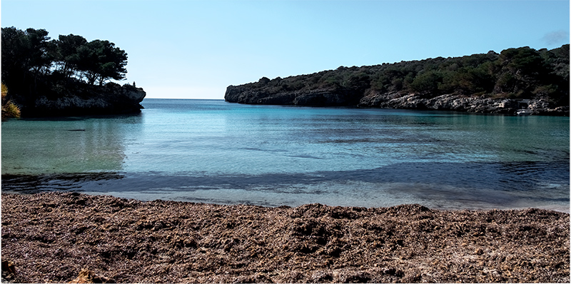 Cala en Turqueta