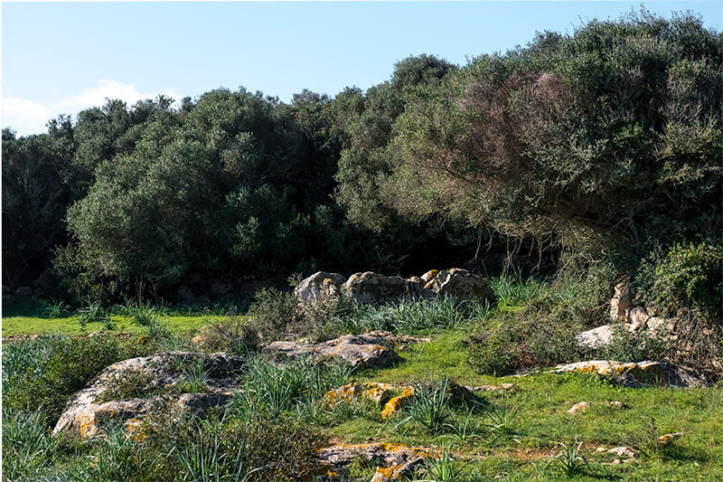 Dolmen de Montpler