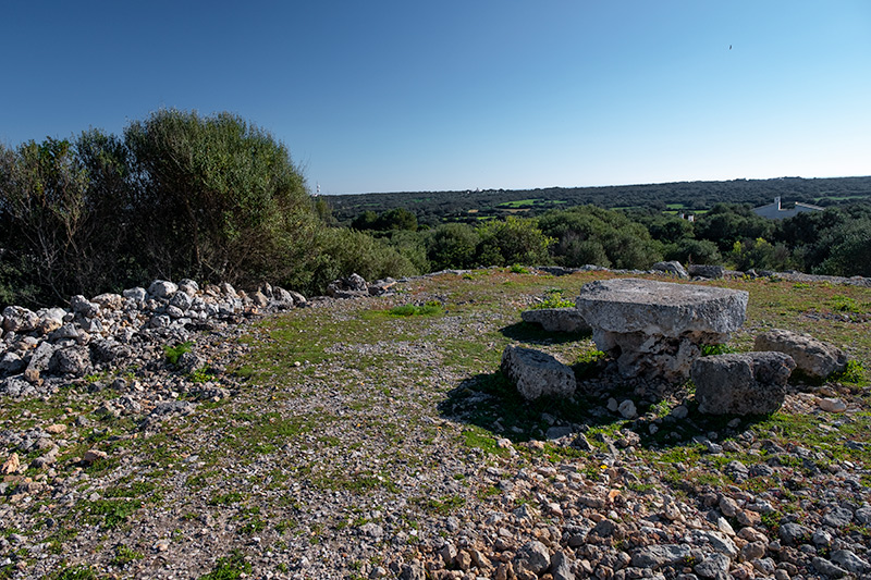 Talaiot de sa Pedrera des Pujol