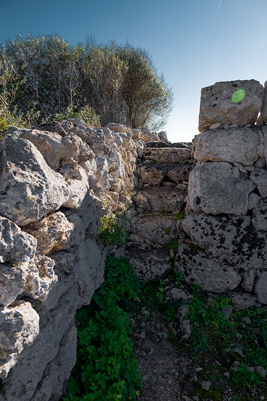 Talaiot de sa Pedrera des Pujol