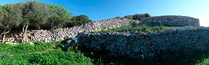 Talaiot de sa Pedrera des Pujol