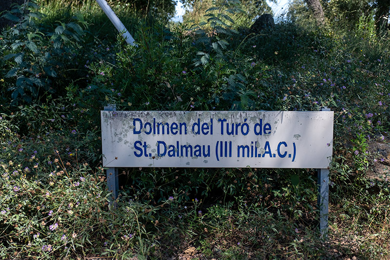 Cartell: Dolmen del Turó de Sant Dalmau