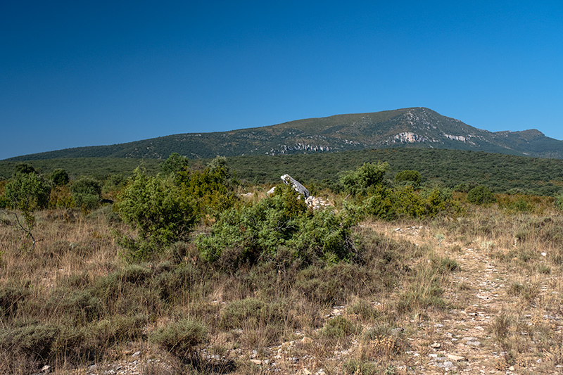 Dolmen de Pueyoril