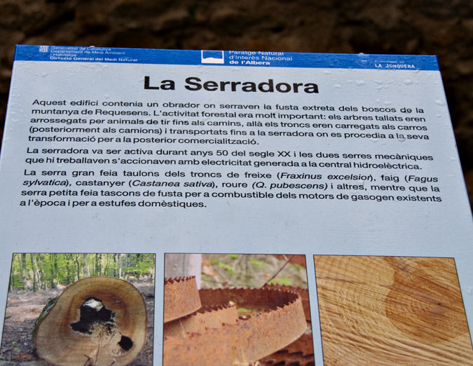 Cartell: La Serradora 1de3