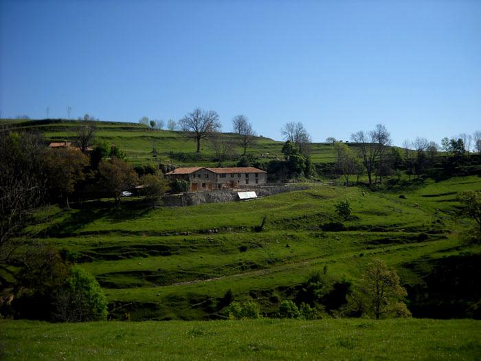 Paisatge de Puigsacalm i Bellmunt.