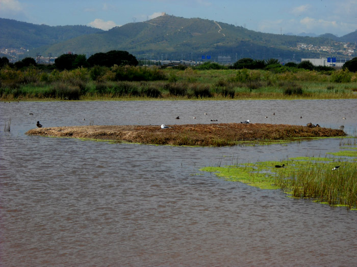 Delta del LLobregat.