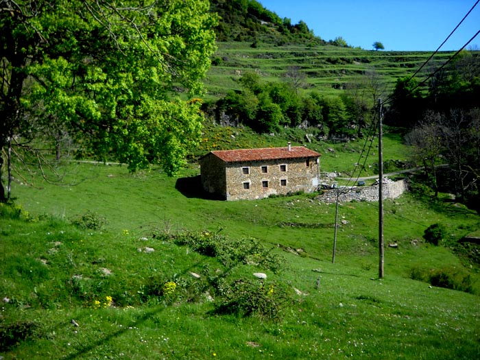 Paisatge de Puigsacalm i Bellmunt.