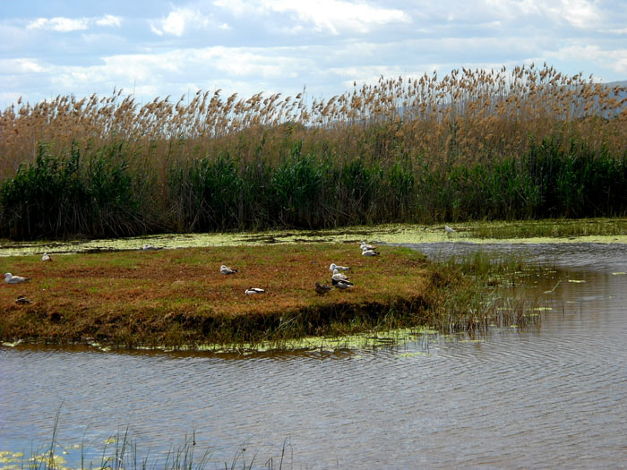 Delta del LLobregat.