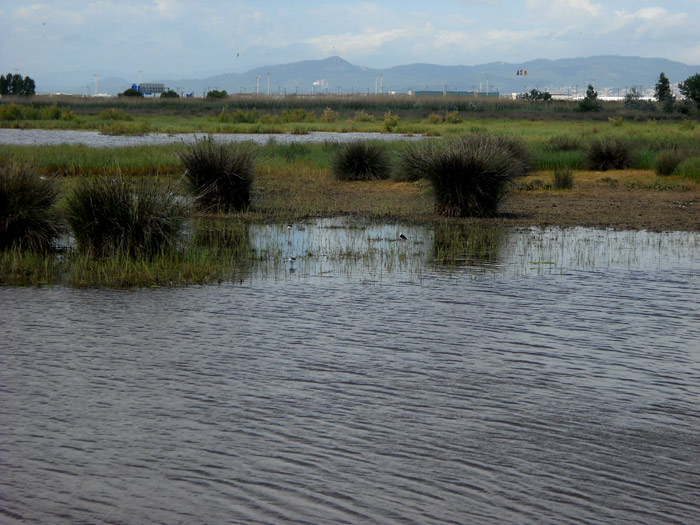 Delta del LLobregat.