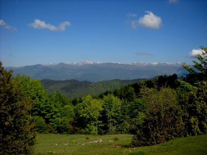 Paisatge de Puigsacalm i Bellmunt.