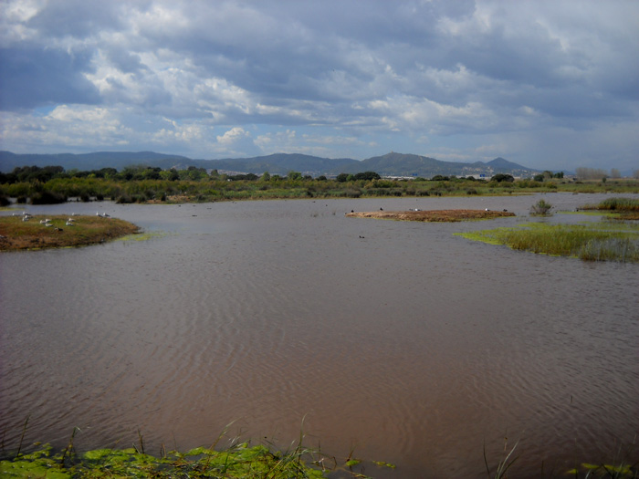 Delta del LLobregat.