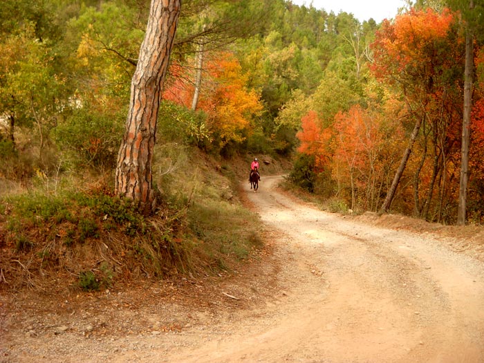 Paisatge de tardó 1 de 2