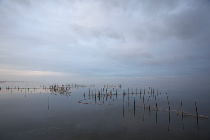 Llac de l'Albufera