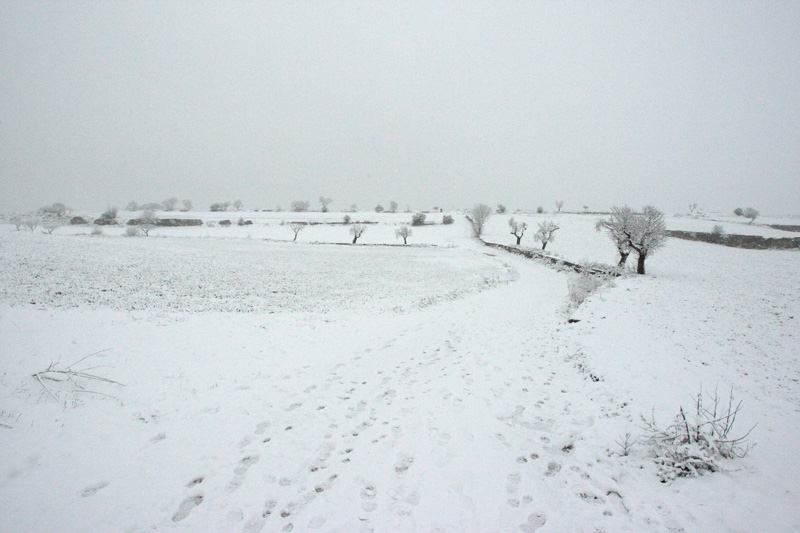 Paisatge nevat a Guissona.