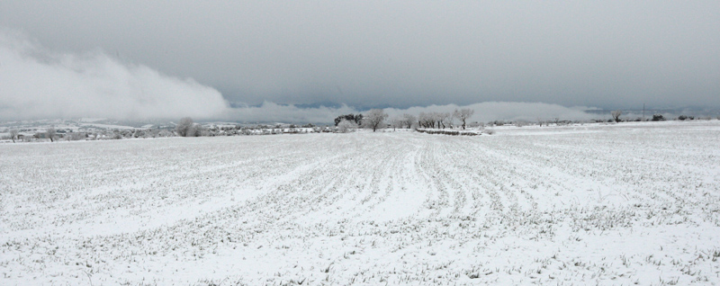 Paisatge nevat a Guissona.