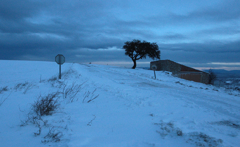 Paisatge nevat a Vicfred.