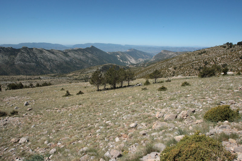 Serra de Carreu.