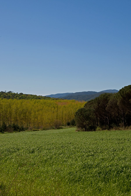 VerdBlau