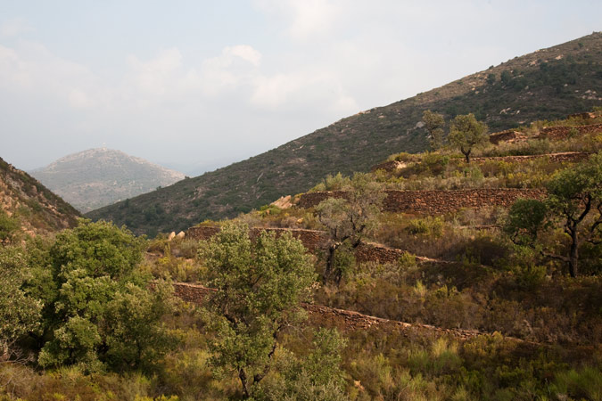 Paisatge 3de4