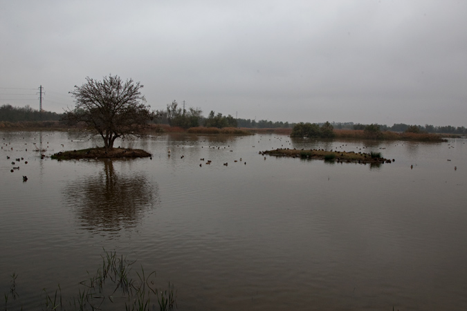 Estany del Cortalet