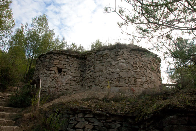 Tines de vi i barraques de vinya 1de5