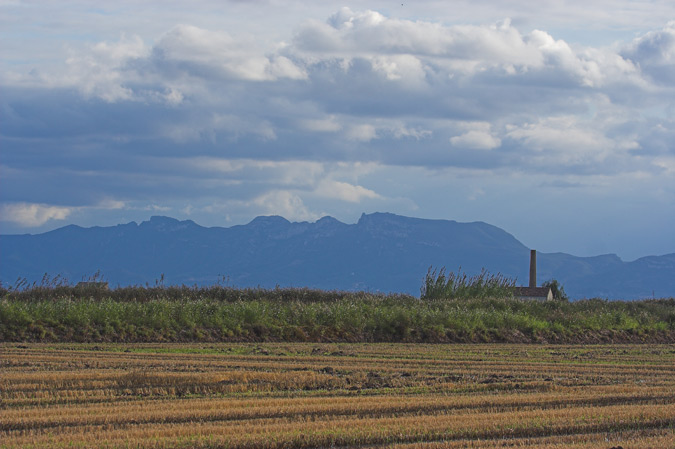 Paisatge de l'Albufera