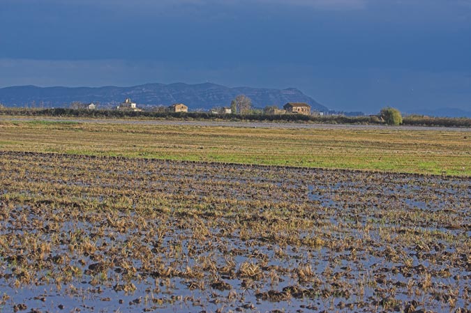 Paisatge de l'Albufera