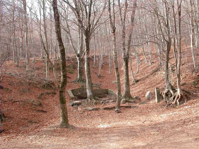 Font Bona, Sant Marçal, Montseny