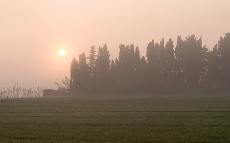 Boira (Niebla)