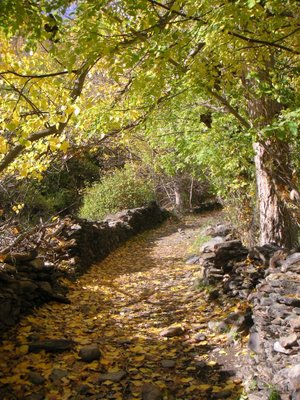 Camí d' Àrreu