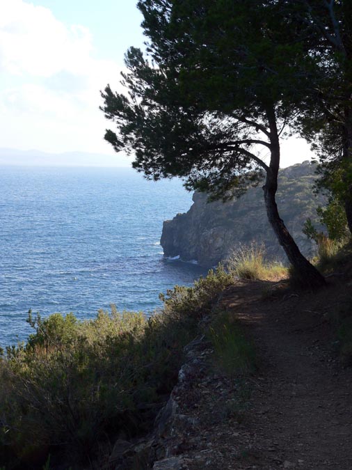 Camí de ronda