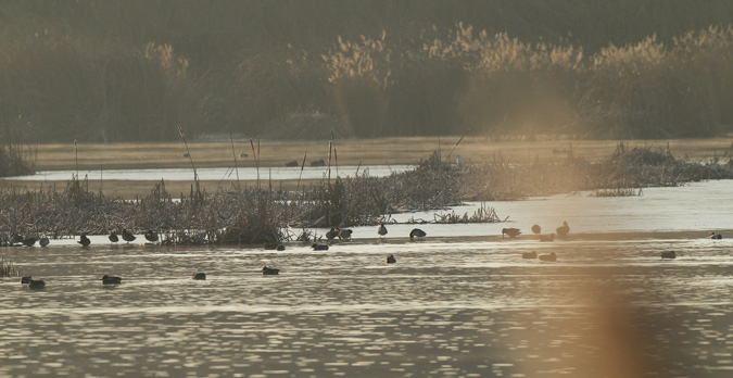 Eestany d’Utxafava.