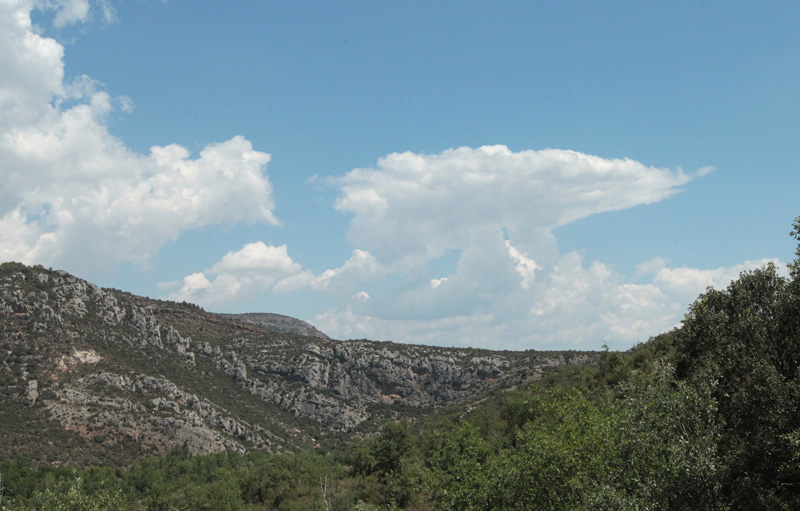 Cumulonimbus.