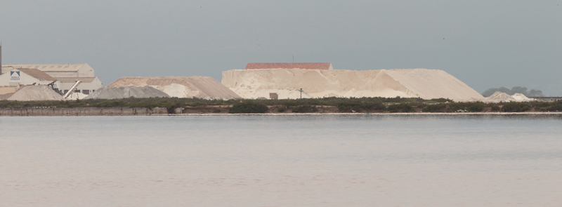 Salines de la Trinitat; salines noves